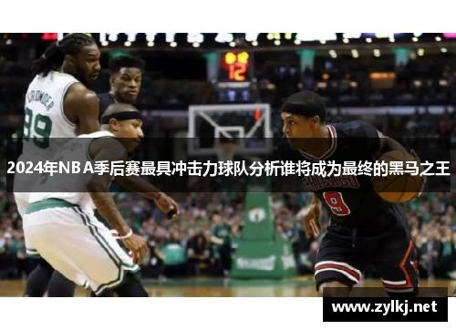 2024年NBA季后赛最具冲击力球队分析谁将成为最终的黑马之王
